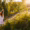 remote-side-back-view-unrecognizable-young-woman-meditating-lotus-position-sitting-with-hands-up-background-beautiful-landscape-green-trees-grass-clear-sunny-day_482921-5554